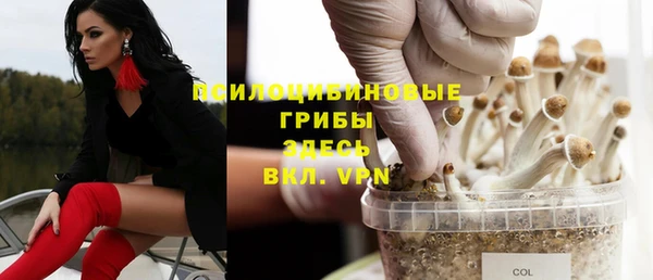 амф Алексин