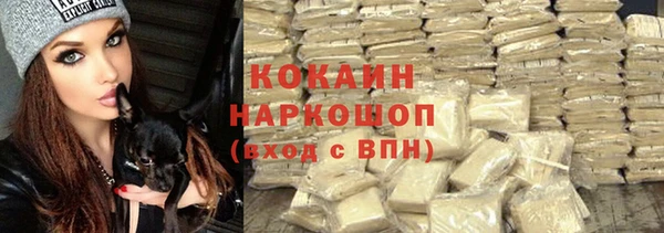 амф Алексин